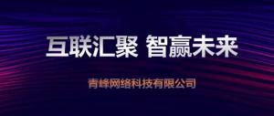 “互聯(lián)聚匯，智贏未來” 2019焦作青峰全網(wǎng)合作峰會***成功！